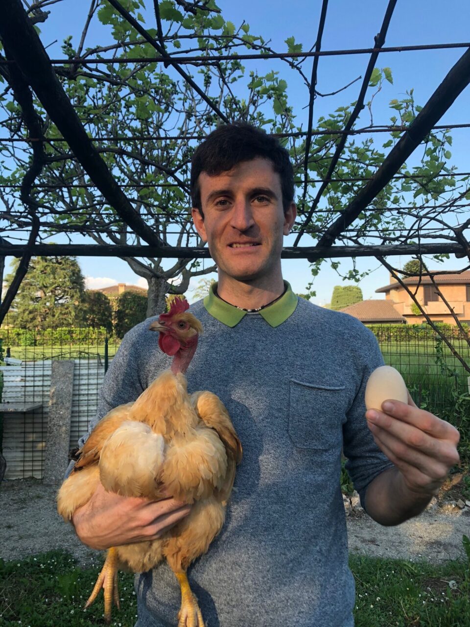 L’uovo record della gallina Gertrude