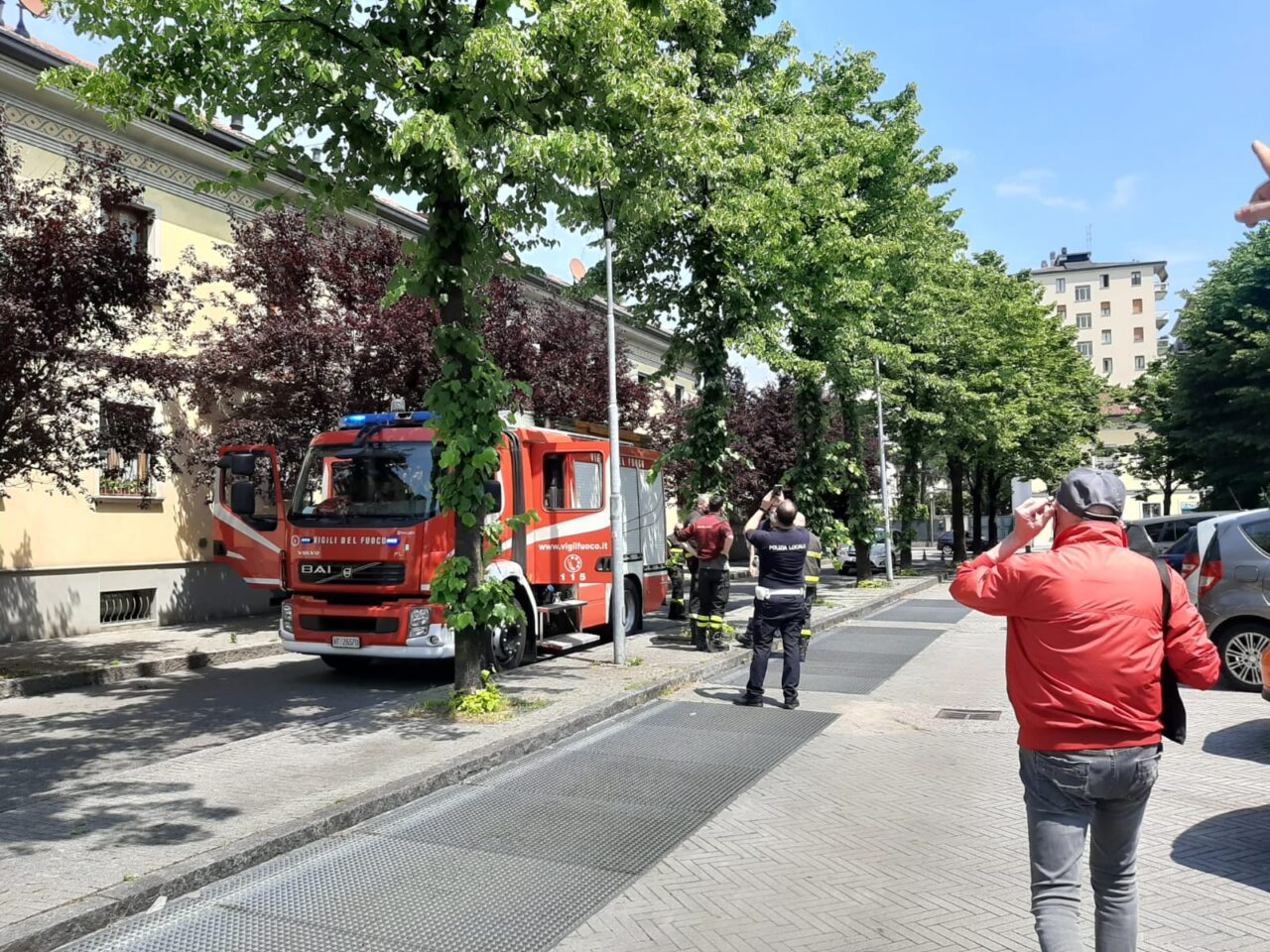 Vigili del Fuoco intervengono per un nido di api