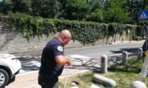 Volontari rimettono in piedi gli antichi paracarri distrutti da un incidente a Trezzo sull'Adda