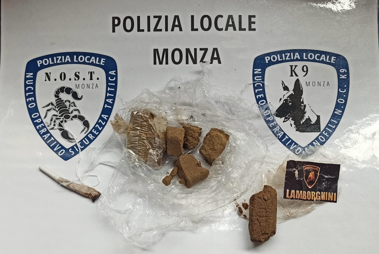 Controlli antidroga: studenti trovati con 92 grammi di hashish