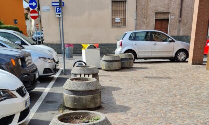 Nelle fioriere della piazza cresce... la cocaina