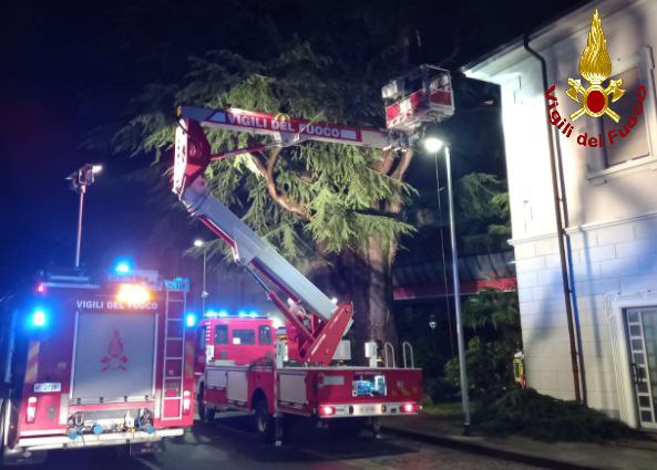 caduta rami Lentate sul Seveso pompieri vigili fuoco