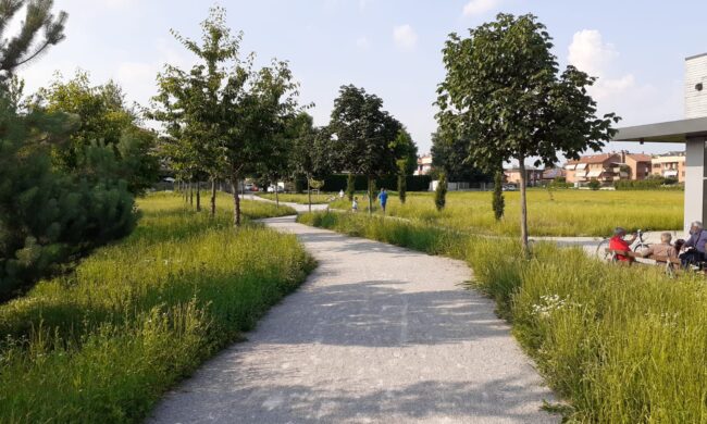 Desio: Il Parco di via Agnesi si chiamerà Parco delle Farfalle - Prima Monza