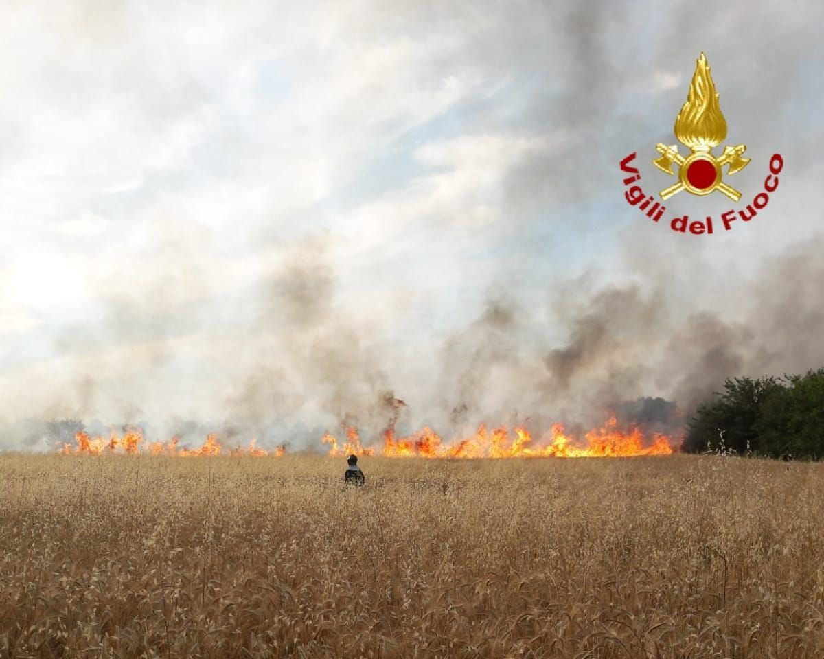 Incendio in un campo