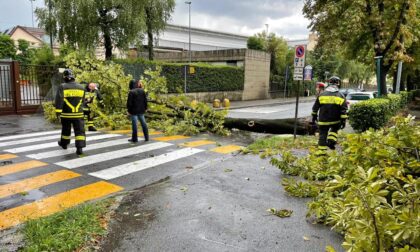 Maltempo in Brianza: in poche ore oltre 40 interventi dei Vigili del fuoco