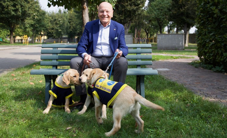Centro cani guida Lions, cinque cuccioli in cerca di famiglia