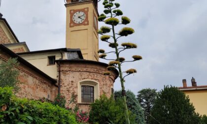 Spettacolo della natura nel giardino del don