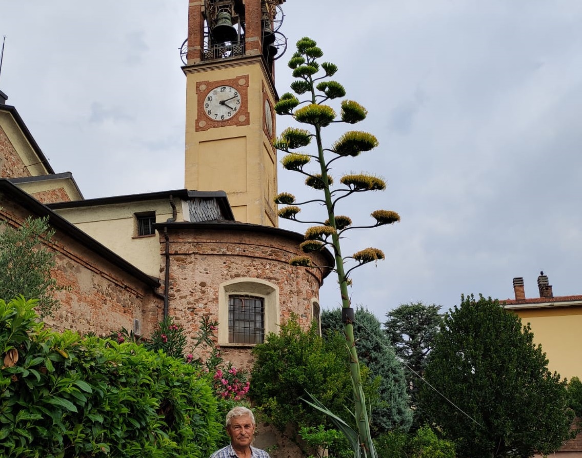Spettacolo della natura nel giardino del don