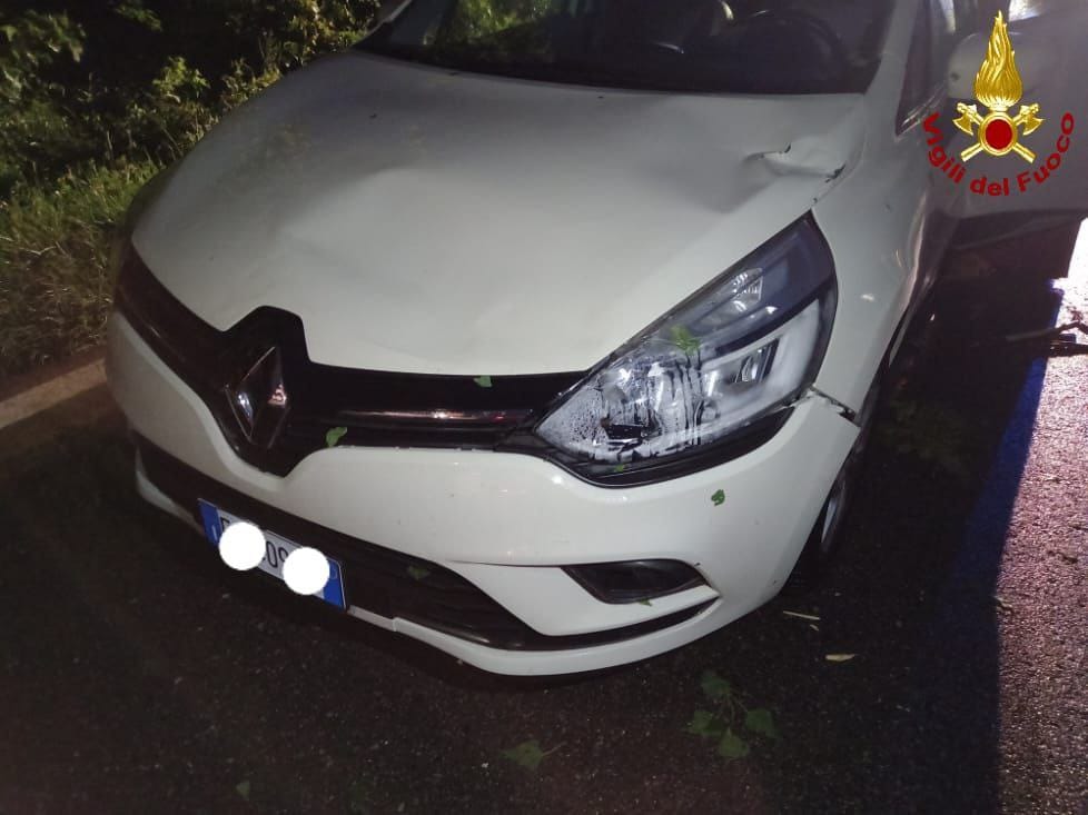 Maltempo, albero cade su un’auto in transito