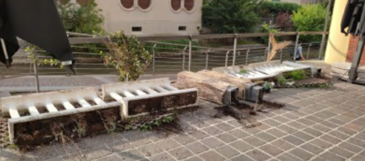 Raid vandalico al caffè: “Siamo terrorizzate”