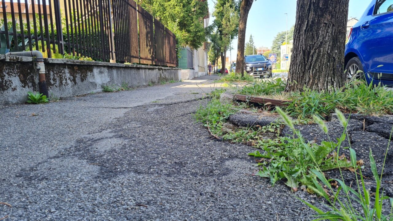 Villasanta, cade sul marciapiede per una radice e lancia un appello al sindaco
