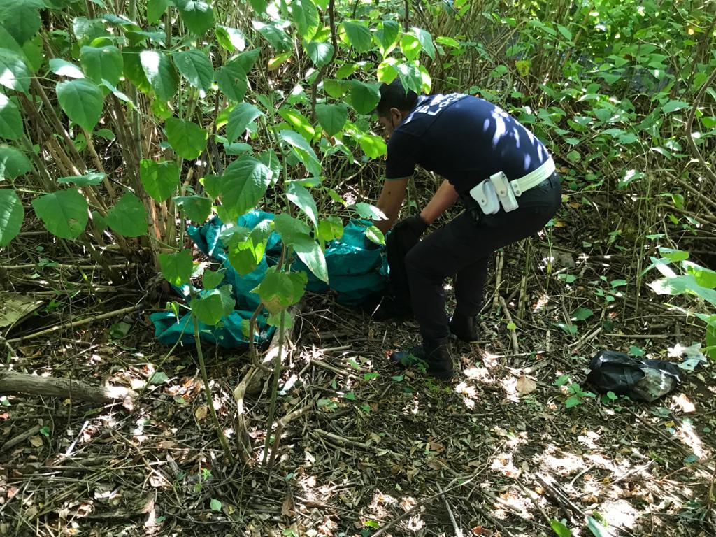 Progetto parchi, smantellata la tenda degli spacciatori