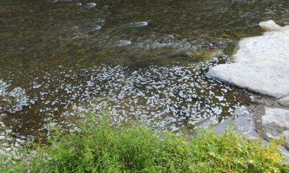 Allarme schiuma nel Lambro: "Colpa delle piogge scarse"