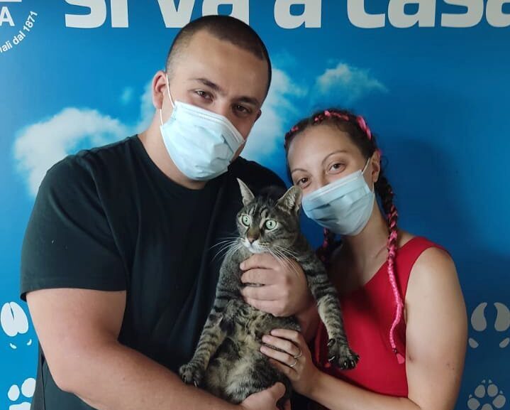Scompare a Lissone a dicembre, riappare a Villasanta dopo nove mesi. L’incredibile storia di Ash