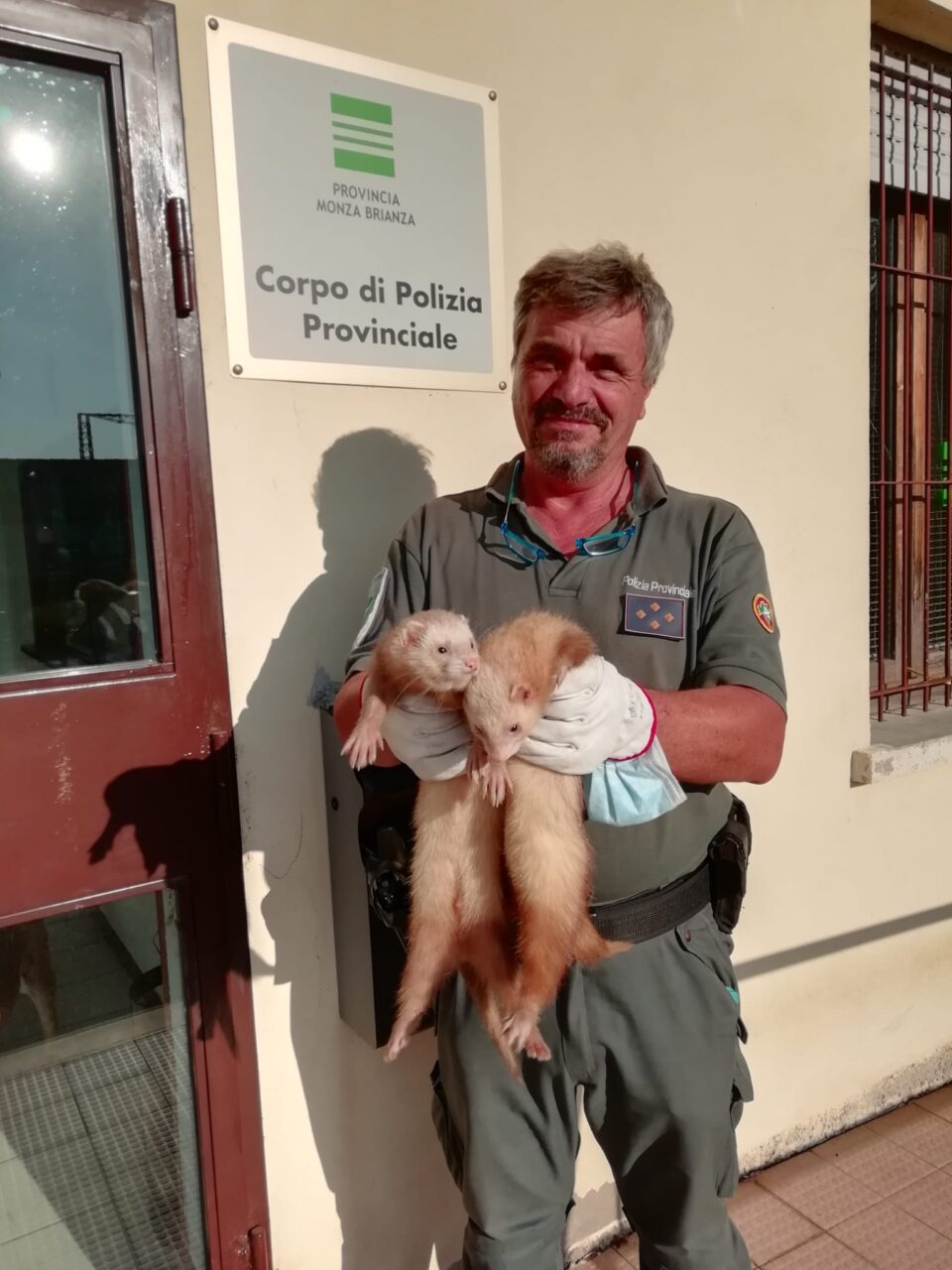 Furetti abbandonati al Parco della Porada