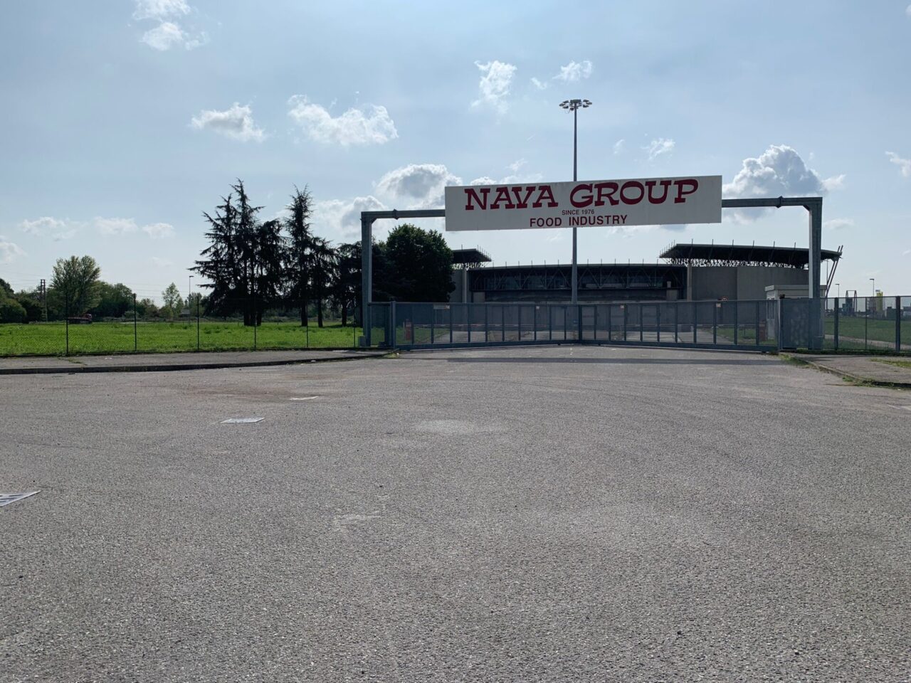 Mucche in fuga dal macello, abbattute