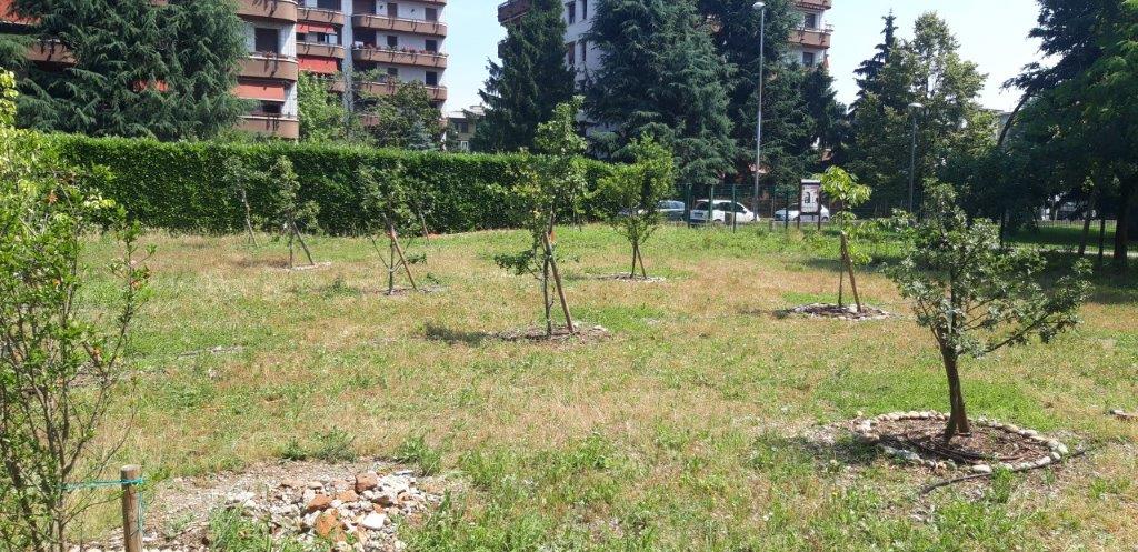 A Monza nasce il primo frutteto sociale