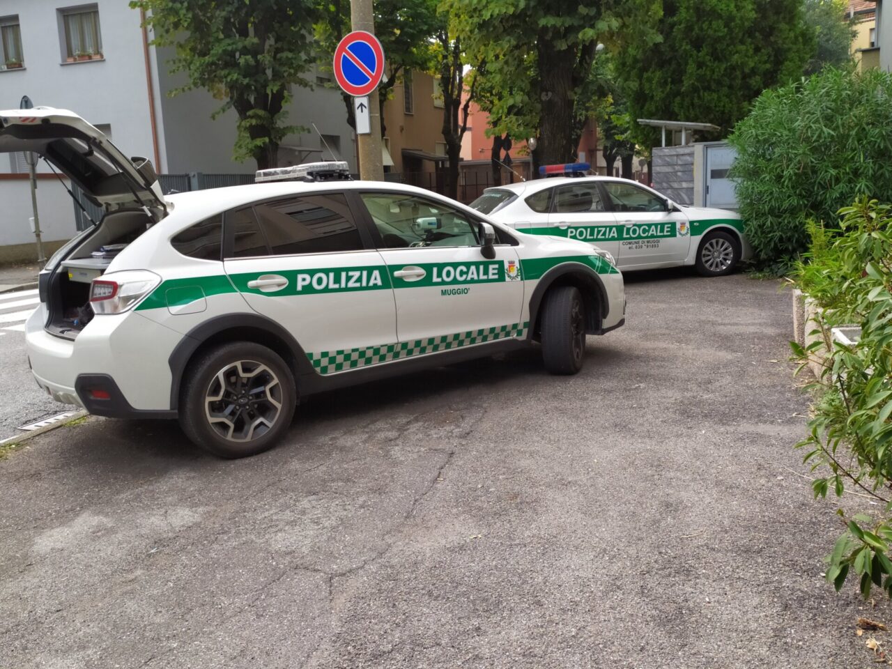 Morso da un cane mentre va a scuola: paura per un 13enne
