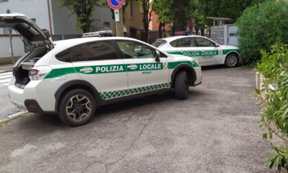 Morso da un cane mentre va a scuola: paura per un 13enne