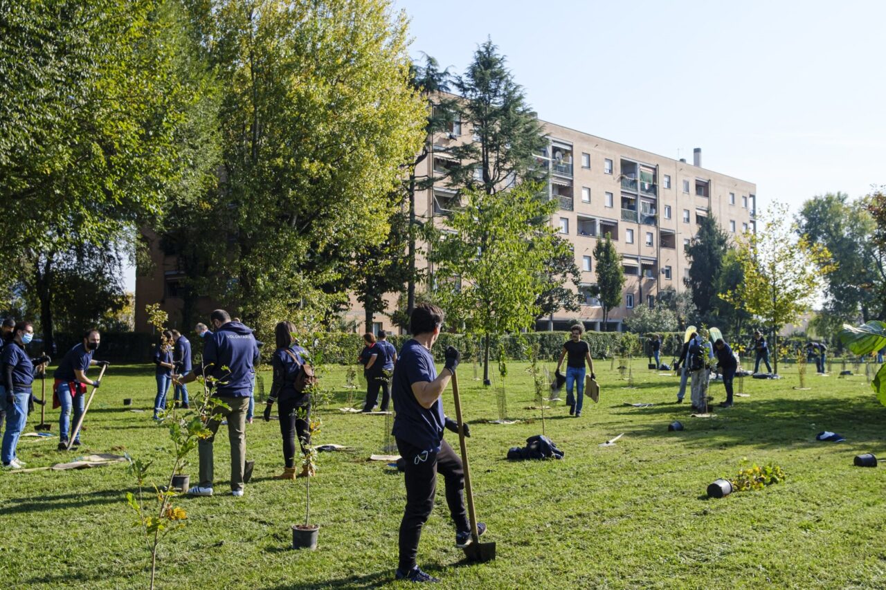 Monza, 500 nuovi alberi piantati in un solo giorno