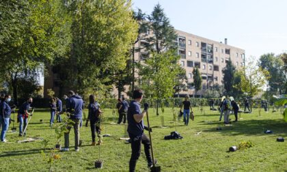 Monza, 500 nuovi alberi piantati in un solo giorno
