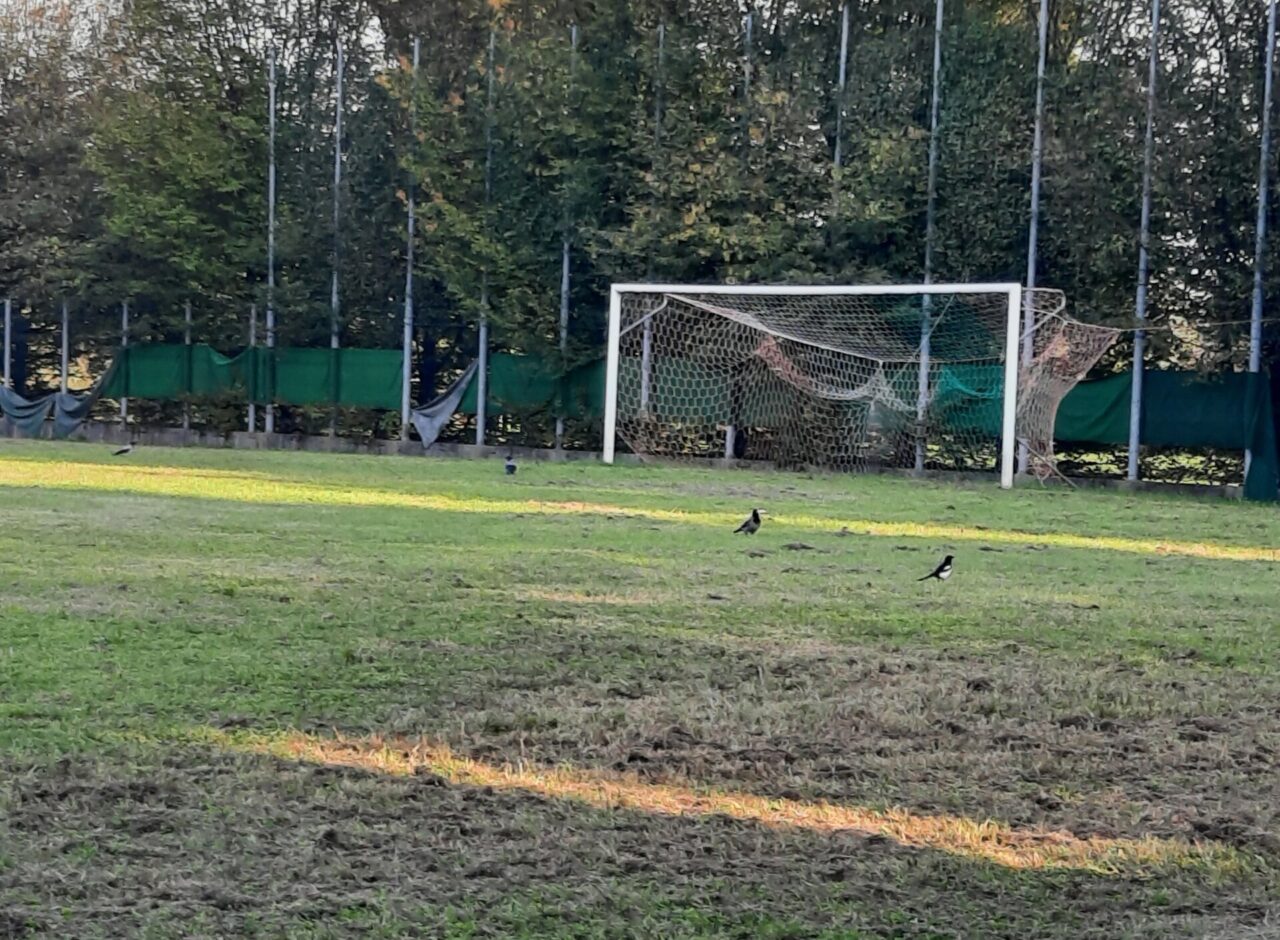 Lavori fermi per il nuovo campo sportivo al Seregnello