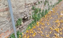 "Il muro di villa Caglio è pericolante", il sindaco chiude un'altra porzione di strada