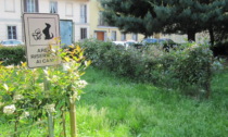 In arrivo due aree cani e un campo da basket-calcio