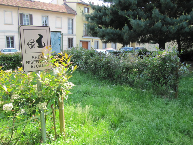 In arrivo due aree cani e un campo da basket-calcio
