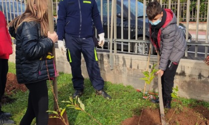 Le scuole si colorano... di verde: gli alunni piantano nuovi alberi nei "loro" giardini