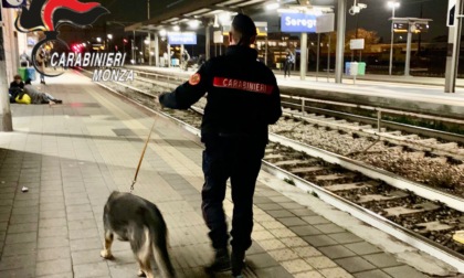 Il fiuto del cane Henry non sbaglia: scovata droga nel sottopasso ferroviario