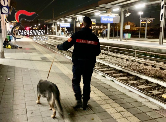 Il fiuto del cane Henry non sbaglia: scovata droga nel sottopasso ferroviario