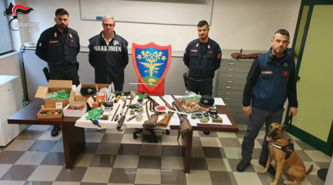 Abbattevano illecitamente uccelli protetti e li rivendevano ai ristoranti: 139 bracconieri denunciati