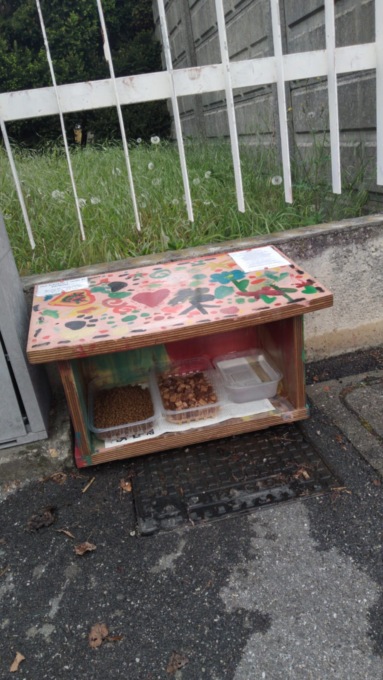 Ladri senza cuore, rubati i ripari per il cibo dei gatti
