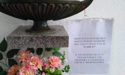 Rubano i fiori per i soldati caduti, un cartello striglia i ladri: "Vigliacchi"