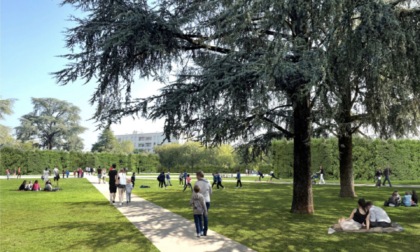 La piazza Gioia di Nova Milanese diventerà un giardino