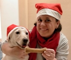 Capodanno a Ceriano. Il Comune “No ai botti, Sì ai biscotti”