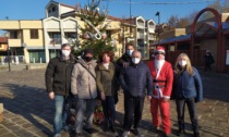 Grande entusiasmo attorno all'albero dell'Associazione Taccona