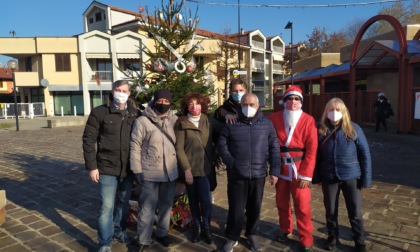 Grande entusiasmo attorno all'albero dell'Associazione Taccona