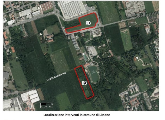 Due nuovi boschi a Lissone: al via la piantumazione di 3.500 piante
