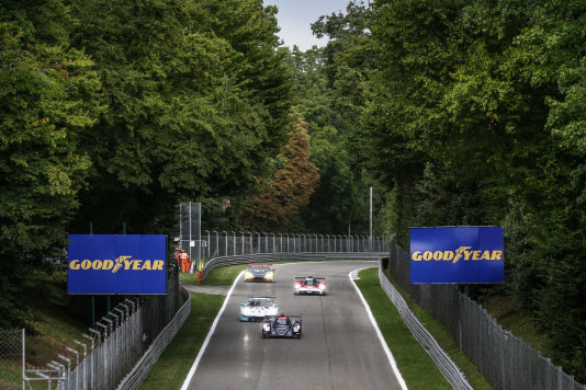 Quasi 6mila nuove piante nel Parco di Monza grazie ad un progetto dell’Autodromo