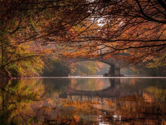 #FoliageinReggia: il contest su Instagram è un successo. Vince Nicolas Barison