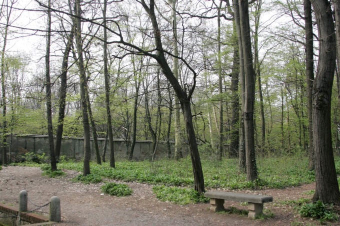 Allerta meteo: domani Parco chiuso
