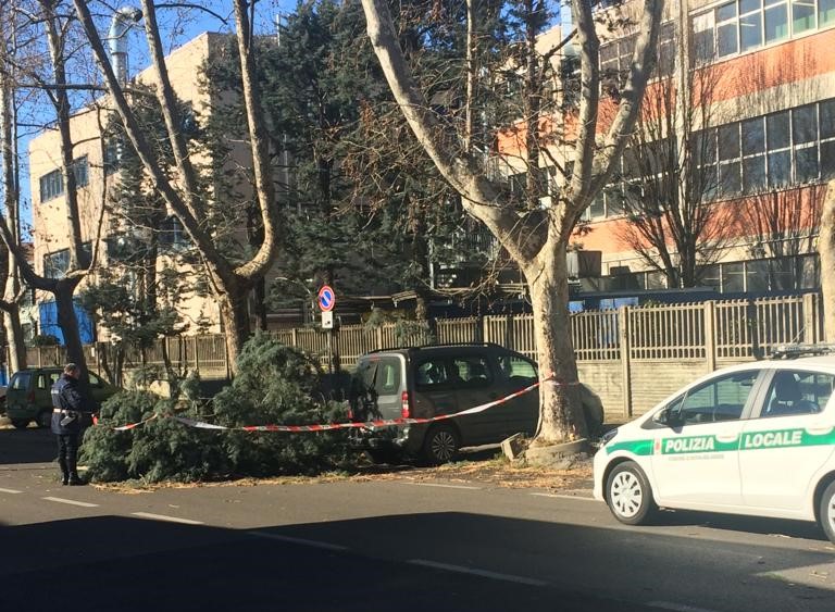 Vento Forte, Cadono Alberi E Volano Tegole A Nova Milanese - Prima Monza