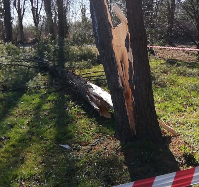 Il vento forte solleva la copertura della piscina comunale. Tanti interventi per alberi caduti