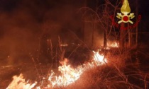Incendio al Parco delle Groane, al lavoro i Vigili del fuoco