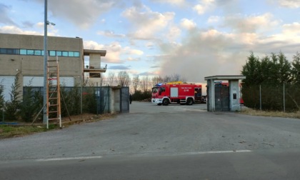 Sterpaglie in fiamme, incendio alimentato dal forte vento