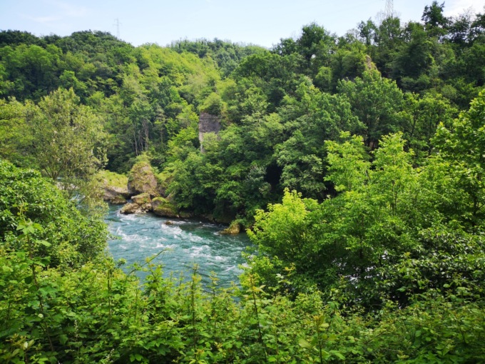 Parco Adda Nord, approvato dalla Giunta Regionale il Piano di Indirizzo Forestale