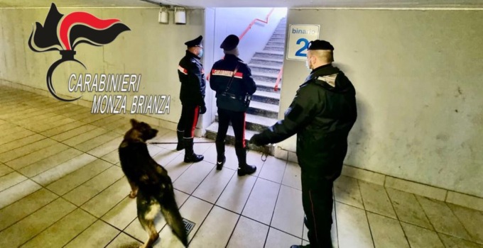Seveso, il fiuto di “Kevin” non fallisce: scovata droga in stazione