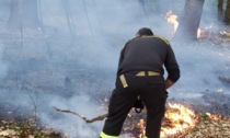 Incendi nei boschi, duplice intervento dei pompieri